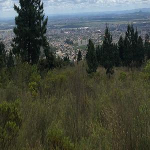 成人🔞涩涩小片视频动漫
