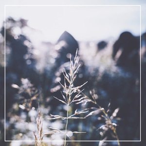 成人🔞涩涩小片视频动漫
