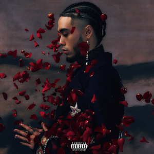 成人🔞涩涩小片视频动漫
